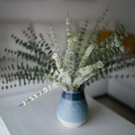 Eva Recommends Capilla De La Jura En Jerez Apartment เฮเรซ เด ลาฟรอนเตรา ภายนอก รูปภาพ