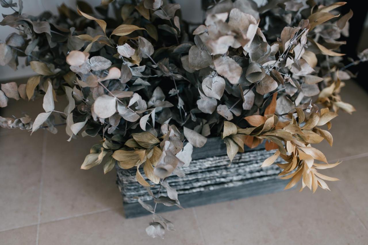 Eva Recommends Capilla De La Jura En Jerez Apartment เฮเรซ เด ลาฟรอนเตรา ภายนอก รูปภาพ