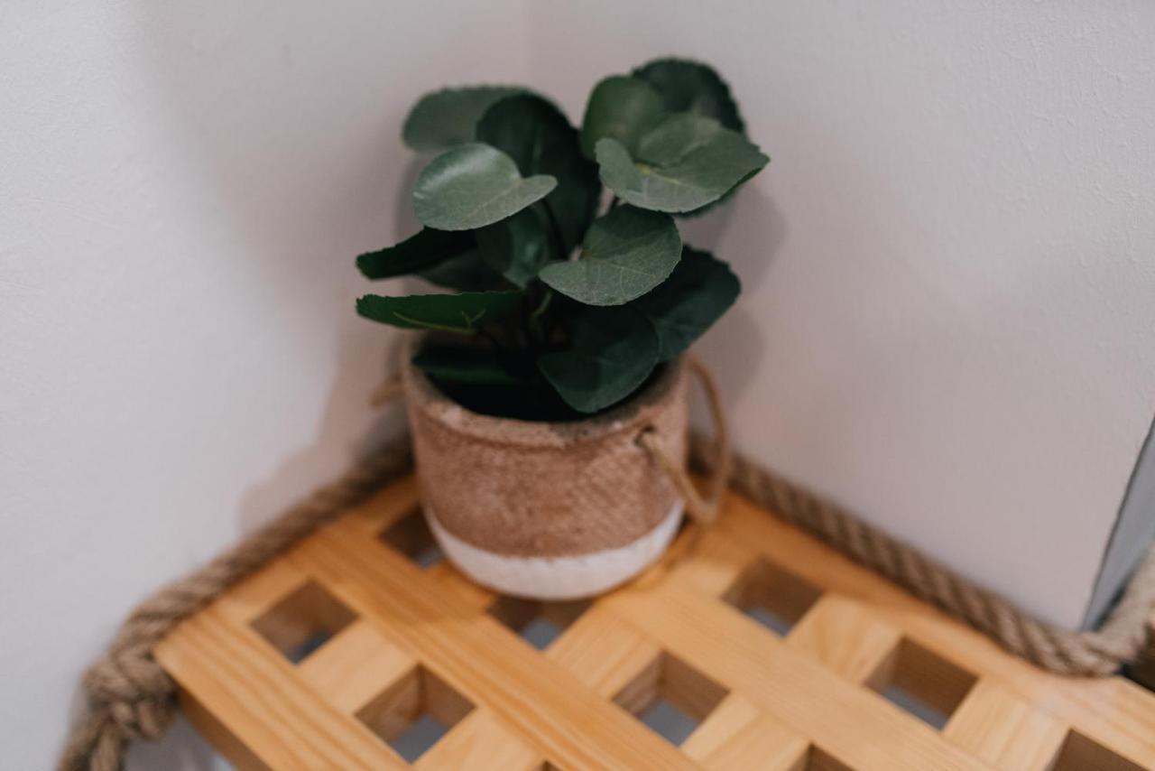 Eva Recommends Capilla De La Jura En Jerez Apartment เฮเรซ เด ลาฟรอนเตรา ภายนอก รูปภาพ