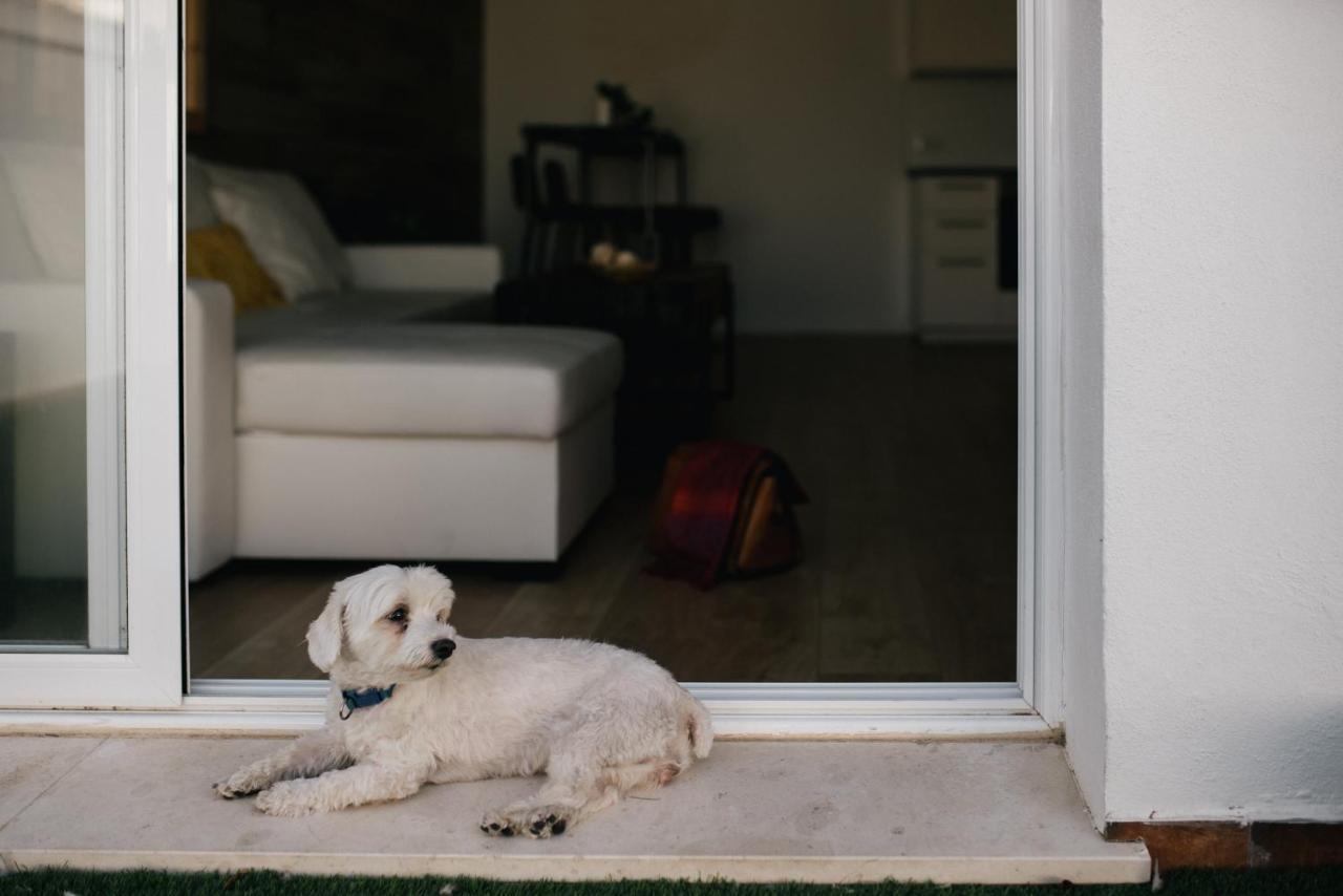 Eva Recommends Capilla De La Jura En Jerez Apartment เฮเรซ เด ลาฟรอนเตรา ภายนอก รูปภาพ