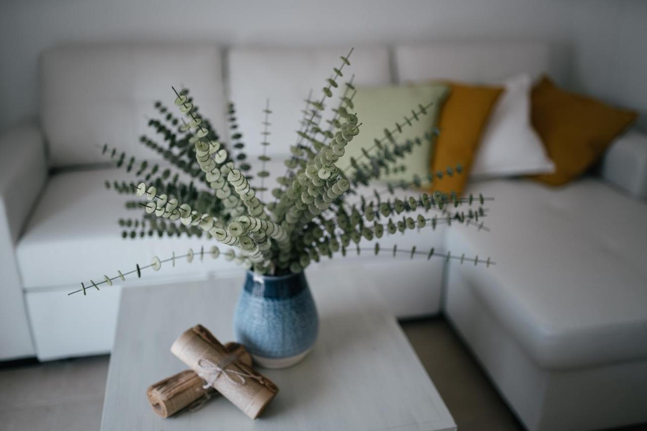 Eva Recommends Capilla De La Jura En Jerez Apartment เฮเรซ เด ลาฟรอนเตรา ภายนอก รูปภาพ