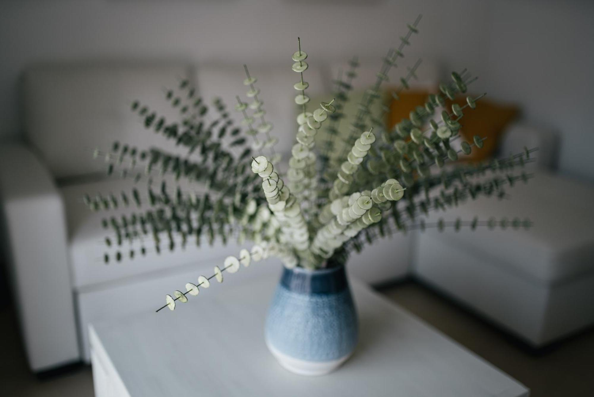 Eva Recommends Capilla De La Jura En Jerez Apartment เฮเรซ เด ลาฟรอนเตรา ภายนอก รูปภาพ